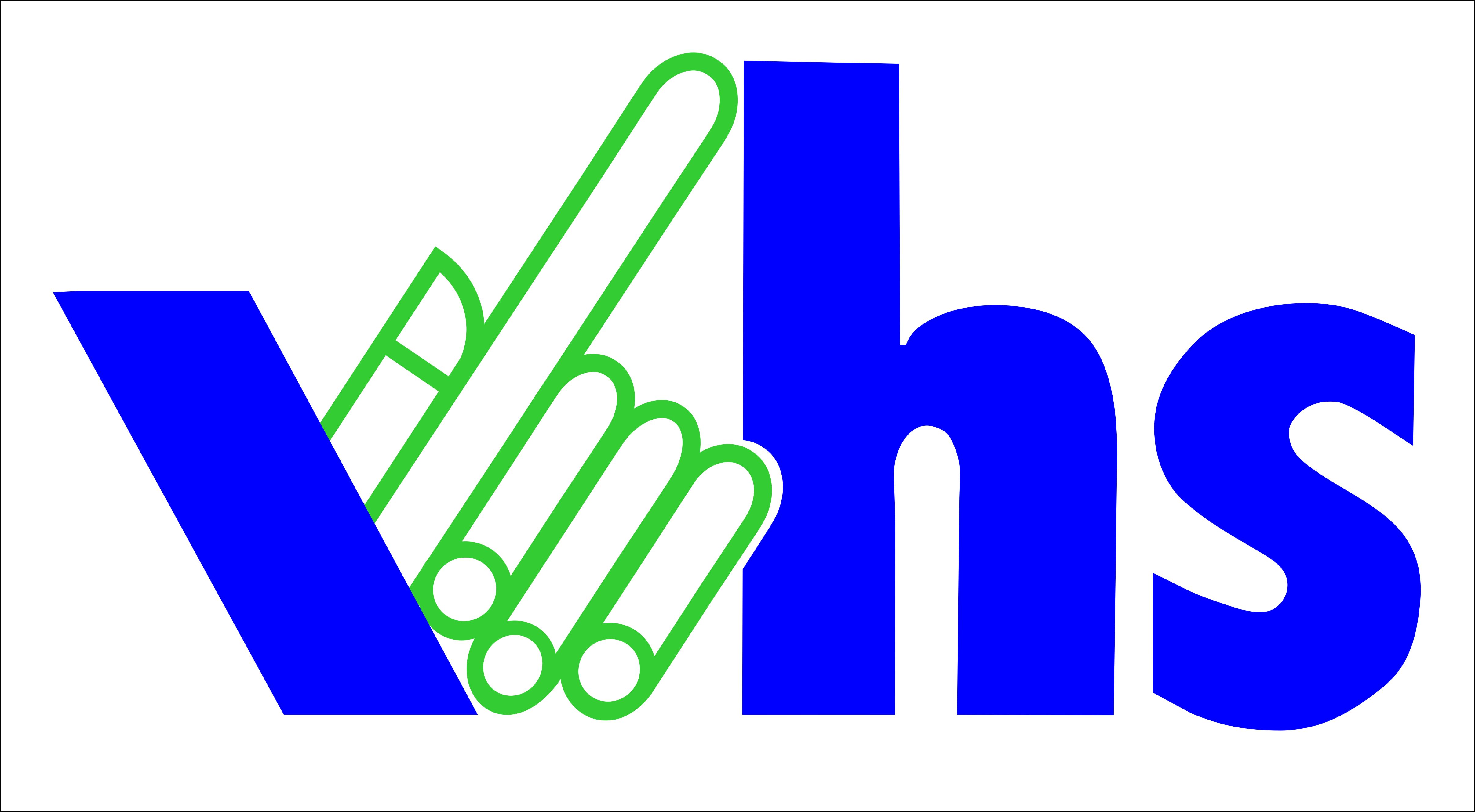 Logo vhs Bruchsal